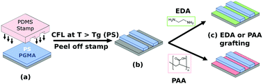 Graphical abstract: Systematic assessment of surface functionality on nanoscale patterns for topographic contact guidance of cells