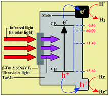 Graphical abstract: Highly efficient near-infrared light photocatalytic hydrogen evolution over MoS2 supported Ta2O5 combined with an up-conversion luminescence agent (β-Tm3+,Yb3+:NaYF4/MoS2–Ta2O5 nanocomposite)