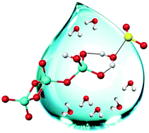 Graphical abstract: Sulphur dioxide cooperation in hydrolysis reactions of vanadium oxide and hydroxide cluster dianions