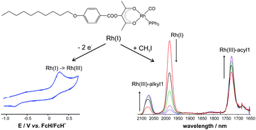 Graphical abstract: Rhodium(triphenylphosphine)carbonyl-2,4-dioxo-3-pentyl-4-decanyloxybenzoate: synthesis, electrochemistry and oxidative addition kinetics