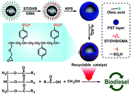 Graphical abstract: Sulfonated poly(styrene-divinylbenzene-glycidyl methacrylate)-capsulated magnetite nanoparticles as a recyclable catalyst for one-step biodiesel production from high free fatty acid-containing feedstocks