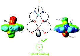 Graphical abstract: Non-covalent tetrel bonding interactions in hemidirectional lead(ii) complexes with nickel(ii)-salen type metalloligands
