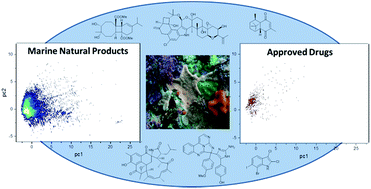 Graphical abstract: Marine natural products