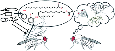 Graphical abstract: Influence of microbial symbionts on insect pheromones