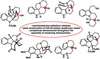 Graphical abstract: Enantioselective palladium-catalyzed allylic alkylation reactions in the synthesis of Aspidosperma and structurally related monoterpene indole alkaloids