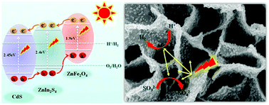 Graphical abstract: Enhanced photogenerated carrier separation in CdS quantum dot sensitized ZnFe2O4/ZnIn2S4 nanosheet stereoscopic films for exceptional visible light photocatalytic H2 evolution performance