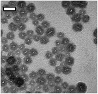 Graphical abstract: Self-assembled hybrid elastin-like polypeptide/silica nanoparticles enable triggered drug release