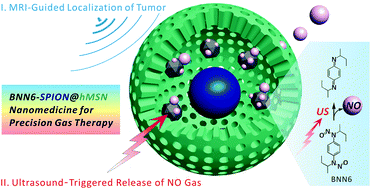 Graphical abstract: MRI-guided and ultrasound-triggered release of NO by advanced nanomedicine