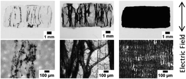 Graphical abstract: Tuning electric field aligned CNT architectures via chemistry, morphology, and sonication from micro to macroscopic scale