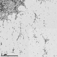 Graphical abstract: Cellulose–gold nanoparticle hybrid materials