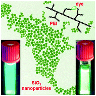 Graphical abstract: A convenient, bio-inspired approach to the synthesis of multi-functional, stable fluorescent silica nanoparticles using poly(ethylene-imine)