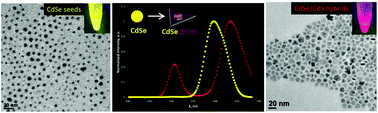 Graphical abstract: The preparation of anisotropic hybrid nanostructures based on CdSe and CdS by the ligand combination method