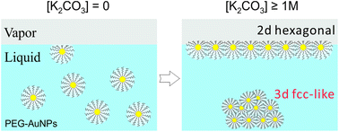 Graphical abstract: Assembling and ordering polymer-grafted nanoparticles in three dimensions