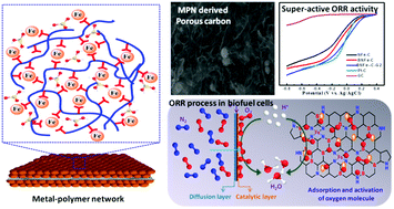 Graphical abstract: Superiority of boron, nitrogen and iron ternary doped carbonized graphene oxide-based catalysts for oxygen reduction in microbial fuel cells