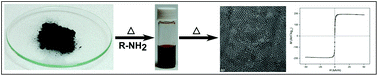 Graphical abstract: Non-volatile iron carbonyls as versatile precursors for the synthesis of iron-containing nanoparticles