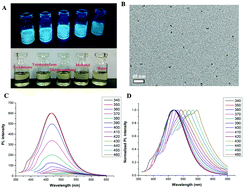 Graphical abstract: Amphiphilic carbon dots as versatile vectors for nucleic acid and drug delivery