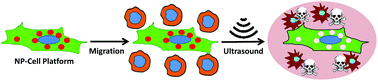 Graphical abstract: Vectorization of ultrasound-responsive nanoparticles in placental mesenchymal stem cells for cancer therapy