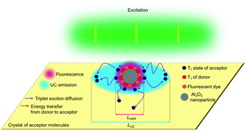 Graphical abstract: Nanoscale triplet exciton diffusion via imaging of up-conversion emission from single hybrid nanoparticles in molecular crystals