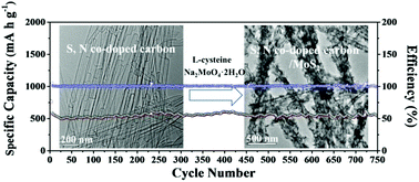 Graphical abstract: S,N co-doped carbon nanotubes decorated with ultrathin molybdenum disulfide nanosheets with highly electrochemical performance