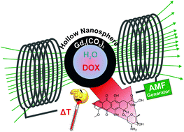 Graphical abstract: Microemulsion-made gadolinium carbonate hollow nanospheres showing magnetothermal heating and drug release