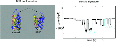 Graphical abstract: A tensegrity driven DNA nanopore