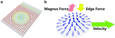 Graphical abstract: Magnetic skyrmions without the skyrmion Hall effect in a magnetic nanotrack with perpendicular anisotropy