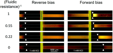 Graphical abstract: A concentration-independent micro/nanofluidic active diode using an asymmetric ion concentration polarization layer