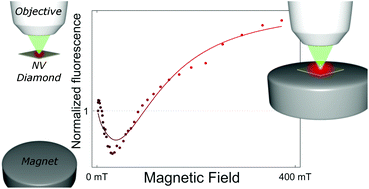 Graphical abstract: Magnetic field-induced enhancement of the nitrogen-vacancy fluorescence quantum yield