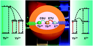 Graphical abstract: Cooperative and non-cooperative sensitization upconversion in lanthanide-doped LiYbF4 nanoparticles