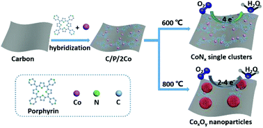 Graphical abstract: Architecture of CoNx single clusters on nanocarbon as excellent oxygen reduction catalysts with high-efficient atomic utilization