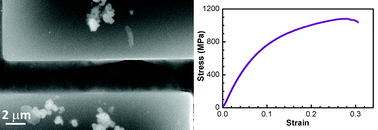 Graphical abstract: In situ nanomechanical characterization of multi-layer MoS2 membranes: from intraplanar to interplanar fracture