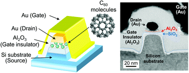 Graphical abstract: Vertical resonant tunneling transistors with molecular quantum dots for large-scale integration