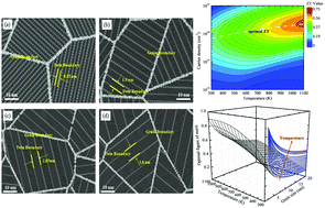 Graphical abstract: Decouple electronic and phononic transport in nanotwinned structures: a new strategy for enhancing the figure-of-merit of thermoelectrics