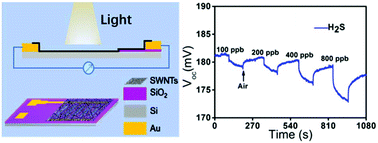 Graphical abstract: A photovoltaic self-powered gas sensor based on a single-walled carbon nanotube/Si heterojunction