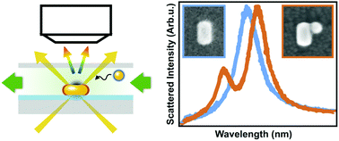 Graphical abstract: Detecting patchy nanoparticle assembly at the single-particle level