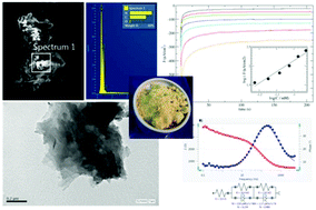 Graphical abstract: The origin of high electrocatalytic activity of hydrogen peroxide reduction reaction by a g-C3N4/HOPG sensor