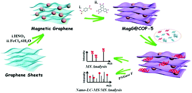 Graphical abstract: Self-assembling covalent organic framework functionalized magnetic graphene hydrophilic biocomposites as an ultrasensitive matrix for N-linked glycopeptide recognition