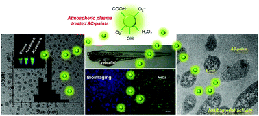 Graphical abstract: Advanced carbon dots via plasma-induced surface functionalization for fluorescent and bio-medical applications
