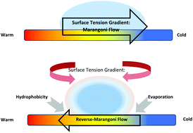 Graphical abstract: Mimicking wettability alterations using temperature gradients for water nanodroplets