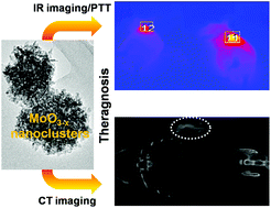 Graphical abstract: Phase and morphological control of MoO3−x nanostructures for efficient cancer theragnosis therapy