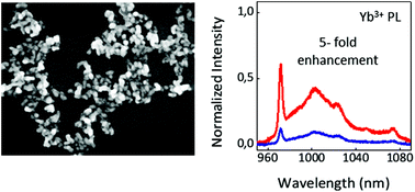 Graphical abstract: Anisotropic enhancement of Yb3+ luminescence by disordered plasmonic networks self-assembled on RbTiOPO4 ferroelectric crystals