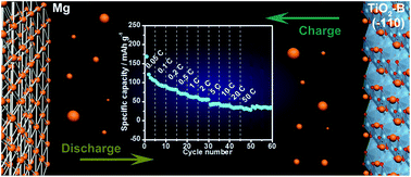 Graphical abstract: Ultrathin TiO2-B nanowires as an anode material for Mg-ion batteries based on a surface Mg storage mechanism