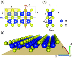 Graphical abstract: The prediction of a family group of two-dimensional node-line semimetals