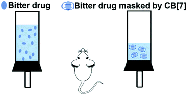 Graphical abstract: Concealing the taste of the Guinness World's most bitter substance by using a synthetic nanocontainer