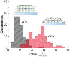 Graphical abstract: Plasmon-induced absorption of blind chlorophylls in photosynthetic proteins assembled on silver nanowires