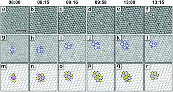 Graphical abstract: Point defects in turbostratic stacked bilayer graphene