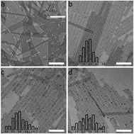 Graphical abstract: Silver nanocrystal-decorated polyoxometalate single-walled nanotubes as nanoreactors for desulfurization catalysis at room temperature