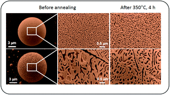 Graphical abstract: Pore and ligament size control, thermal stability and mechanical properties of nanoporous single crystals of gold