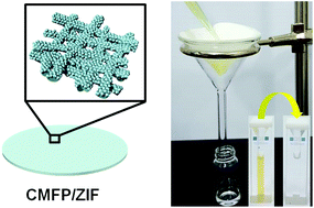 Graphical abstract: Construction of flexible metal–organic framework (MOF) papers through MOF growth on filter paper and their selective dye capture