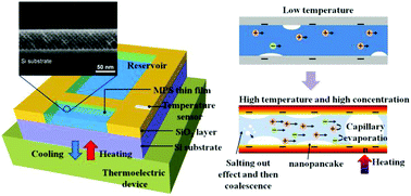 Graphical abstract: Thermal dependence of nanofluidic energy conversion by reverse electrodialysis